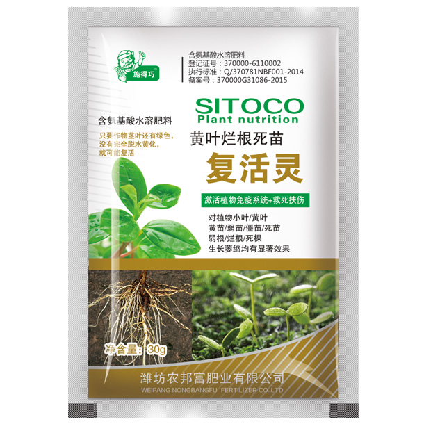 黃葉爛根死苗復(fù)活靈