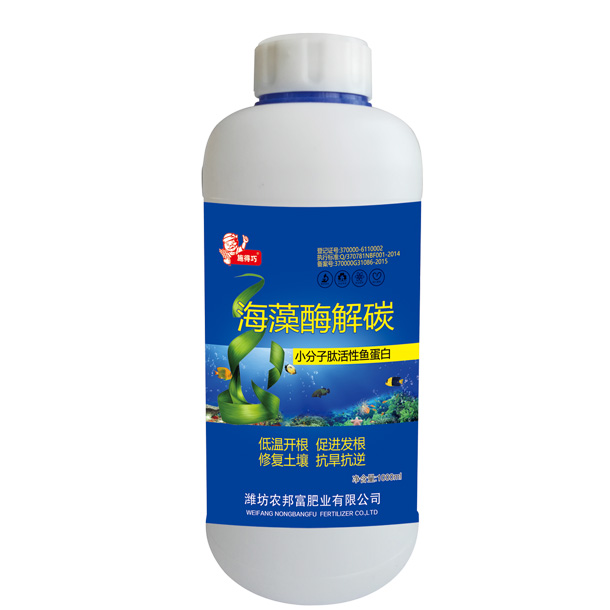 海藻酶解碳