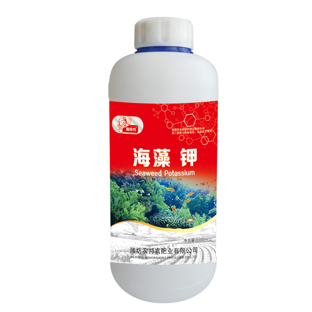 海藻 鉀