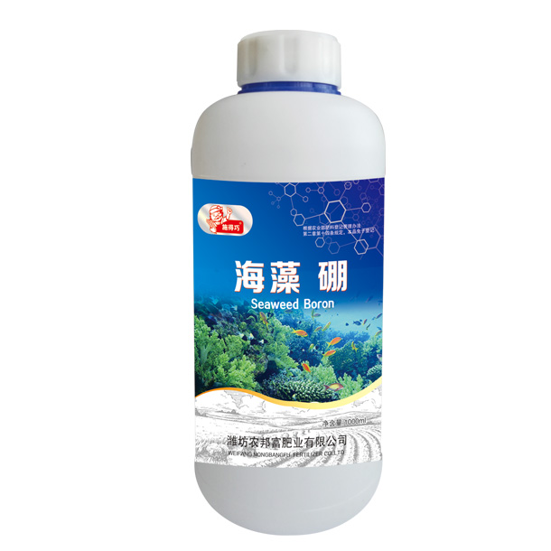 海藻 硼